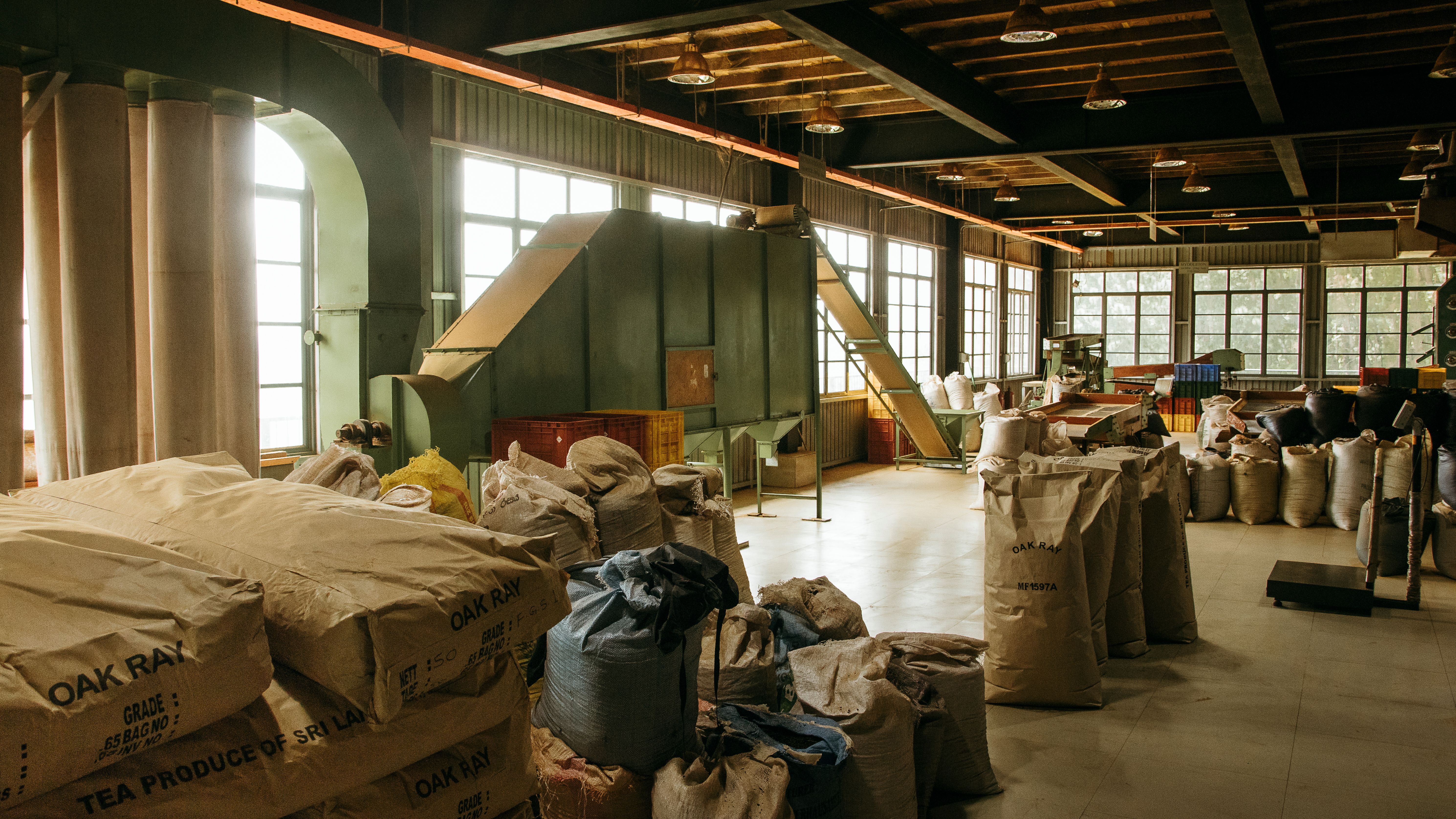 Factory — withering troughs