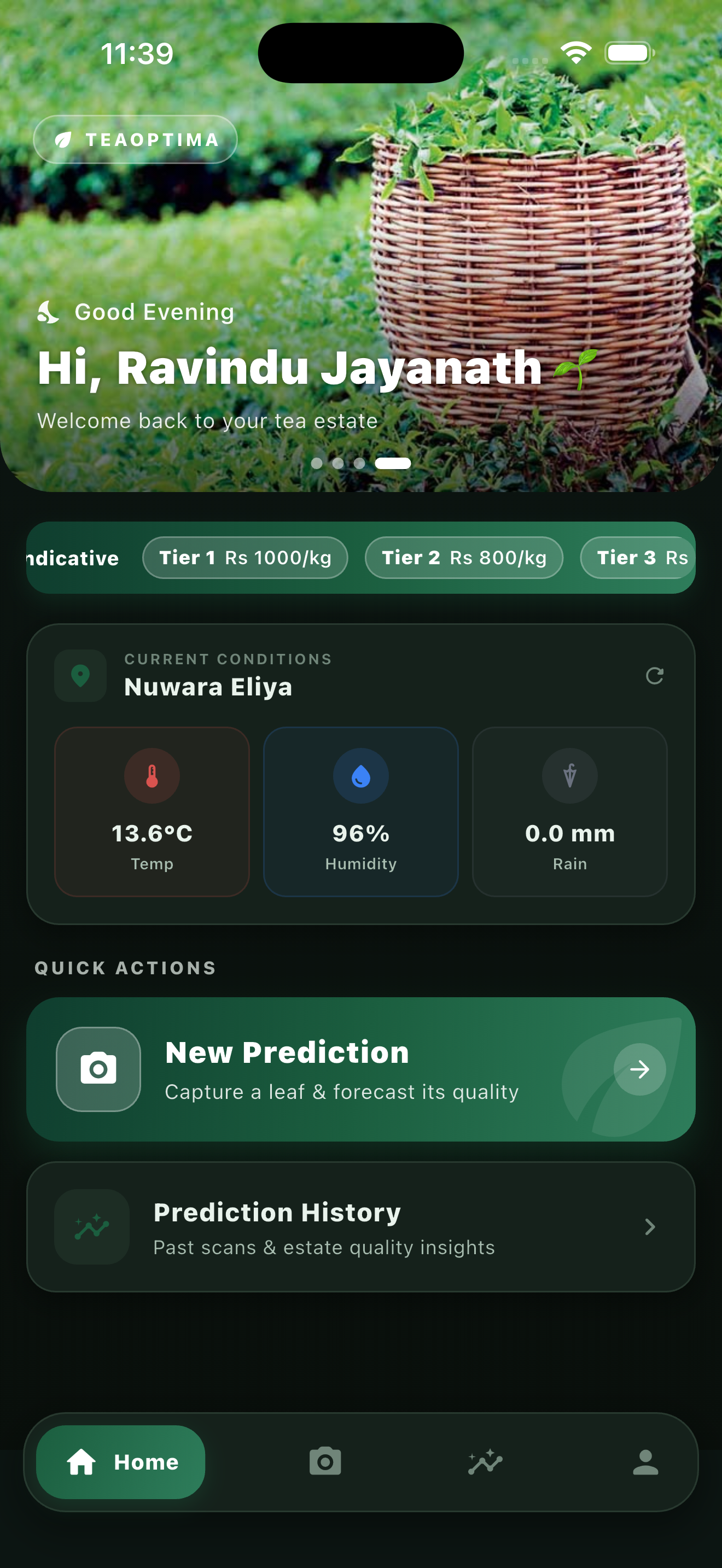 TeaOptima app — Decay forecast